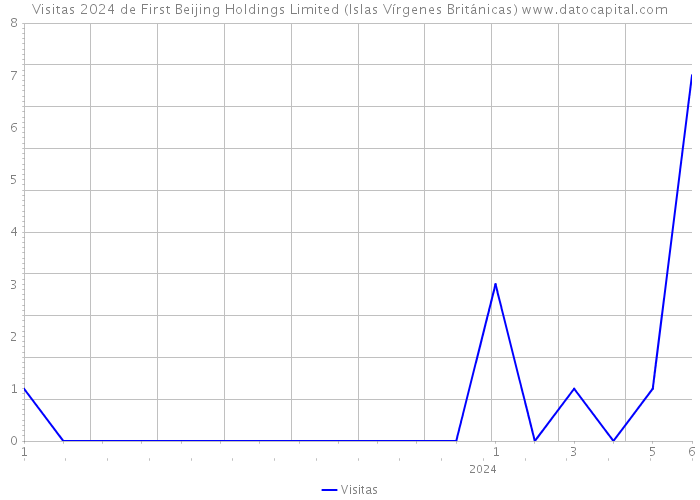 Visitas 2024 de First Beijing Holdings Limited (Islas Vírgenes Británicas) 