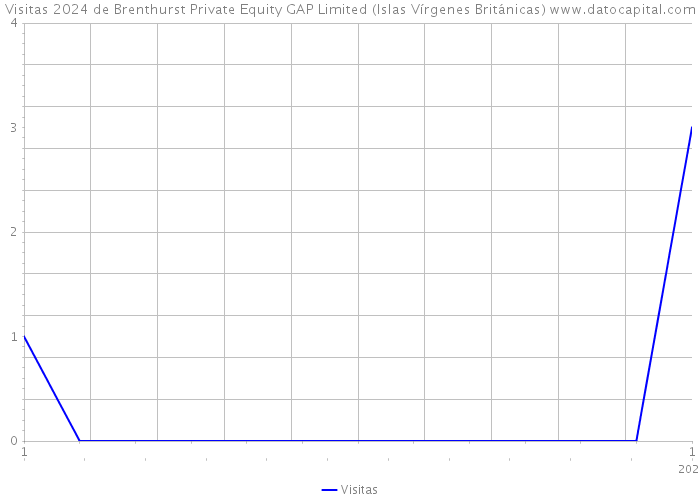 Visitas 2024 de Brenthurst Private Equity GAP Limited (Islas Vírgenes Británicas) 