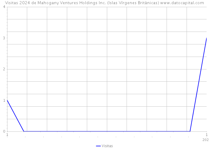 Visitas 2024 de Mahogany Ventures Holdings Inc. (Islas Vírgenes Británicas) 