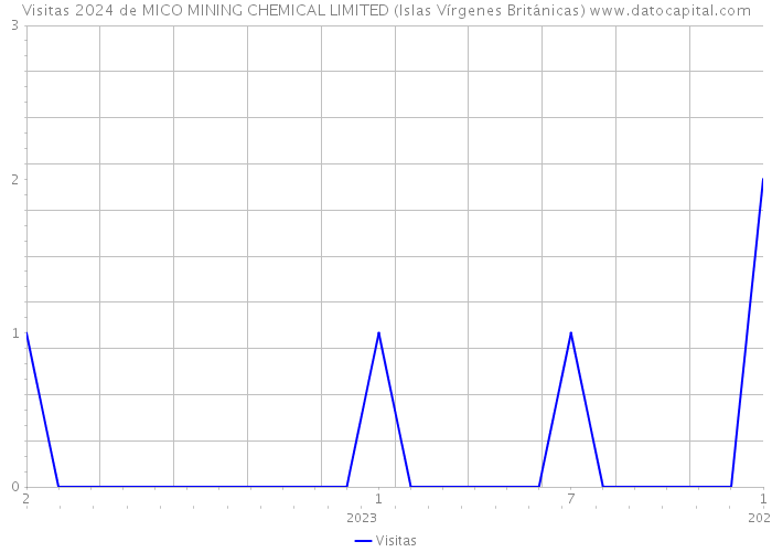 Visitas 2024 de MICO MINING CHEMICAL LIMITED (Islas Vírgenes Británicas) 