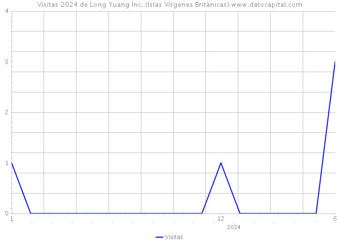 Visitas 2024 de Long Yuang Inc. (Islas Vírgenes Británicas) 
