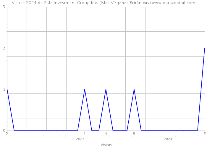 Visitas 2024 de Sole Investment Group Inc. (Islas Vírgenes Británicas) 