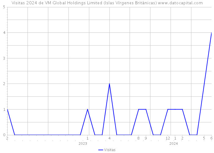 Visitas 2024 de VM Global Holdings Limited (Islas Vírgenes Británicas) 