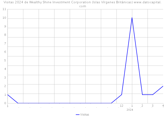 Visitas 2024 de Wealthy Shine Investment Corporation (Islas Vírgenes Británicas) 