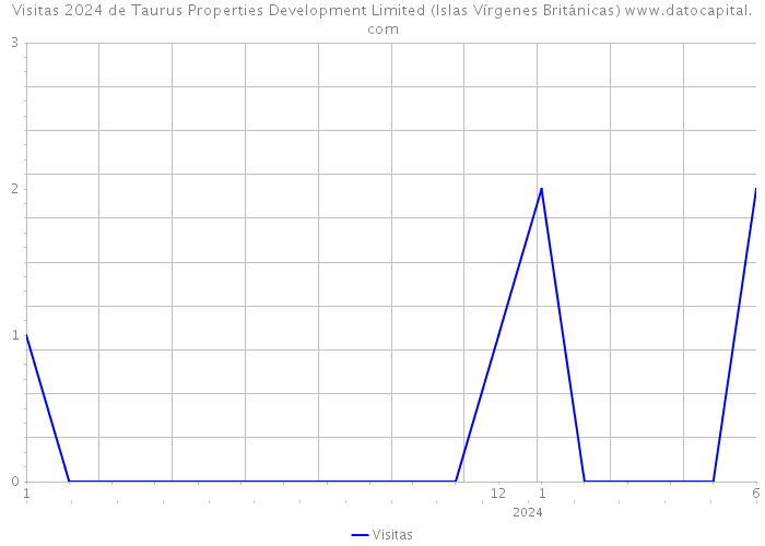 Visitas 2024 de Taurus Properties Development Limited (Islas Vírgenes Británicas) 