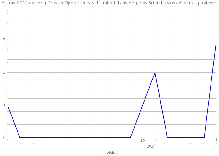 Visitas 2024 de Long Growth Opportunity VIII Limited (Islas Vírgenes Británicas) 