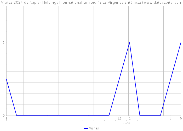 Visitas 2024 de Napier Holdings International Limited (Islas Vírgenes Británicas) 