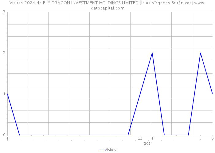 Visitas 2024 de FLY DRAGON INVESTMENT HOLDINGS LIMITED (Islas Vírgenes Británicas) 
