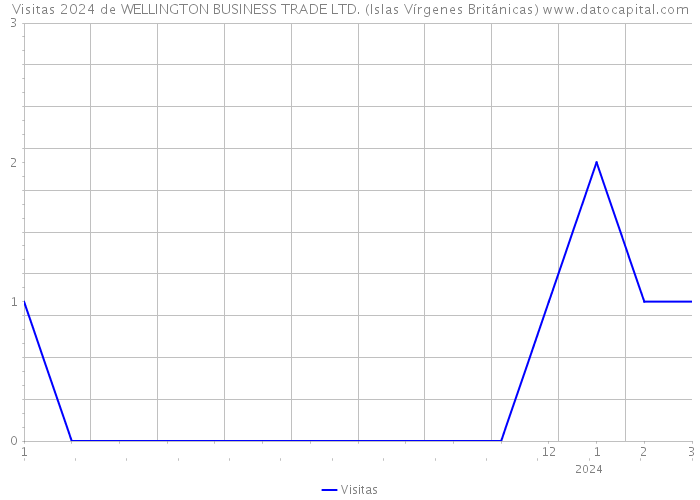 Visitas 2024 de WELLINGTON BUSINESS TRADE LTD. (Islas Vírgenes Británicas) 