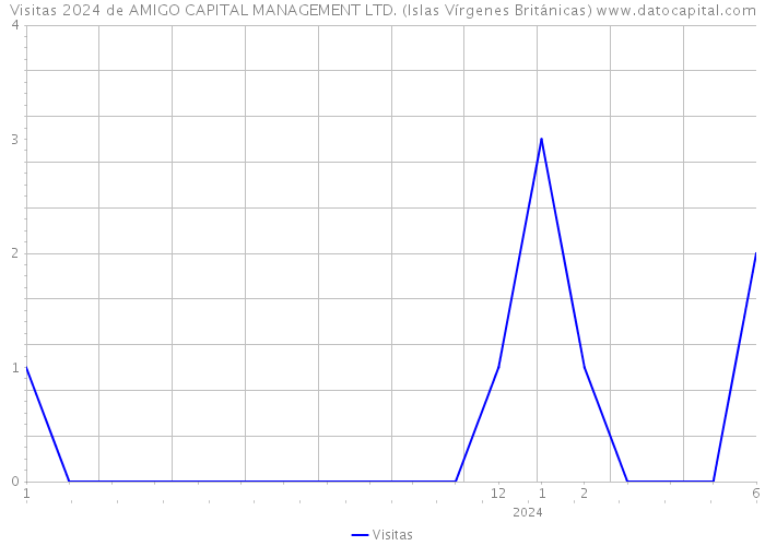 Visitas 2024 de AMIGO CAPITAL MANAGEMENT LTD. (Islas Vírgenes Británicas) 