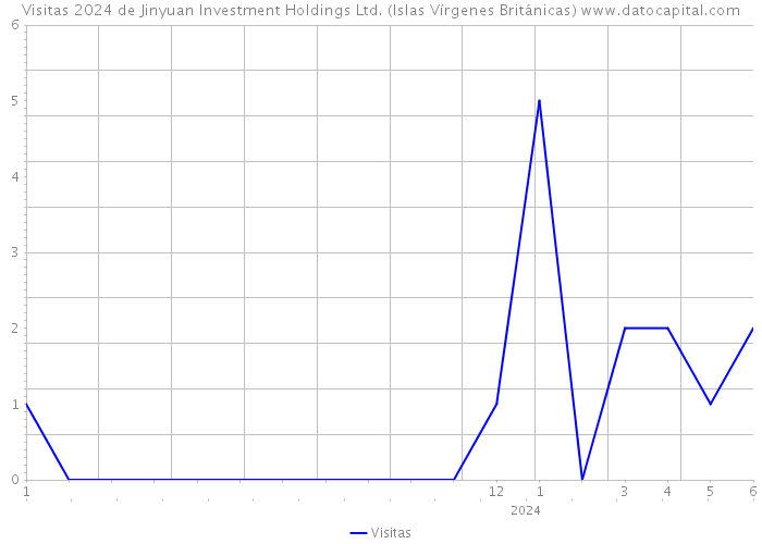 Visitas 2024 de Jinyuan Investment Holdings Ltd. (Islas Vírgenes Británicas) 