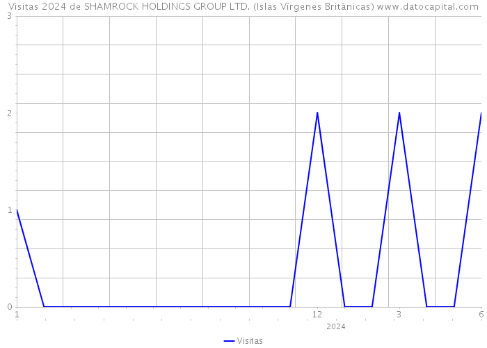 Visitas 2024 de SHAMROCK HOLDINGS GROUP LTD. (Islas Vírgenes Británicas) 