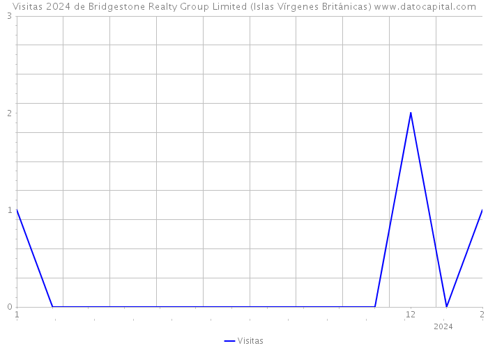 Visitas 2024 de Bridgestone Realty Group Limited (Islas Vírgenes Británicas) 