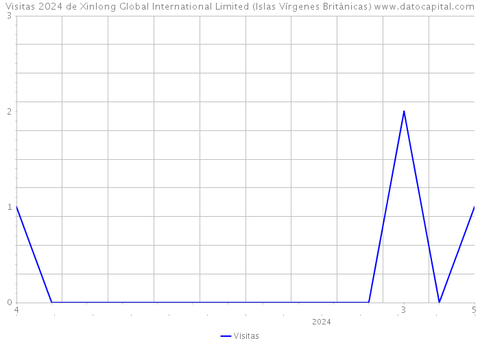 Visitas 2024 de Xinlong Global International Limited (Islas Vírgenes Británicas) 