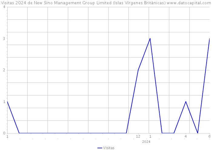 Visitas 2024 de New Sino Management Group Limited (Islas Vírgenes Británicas) 