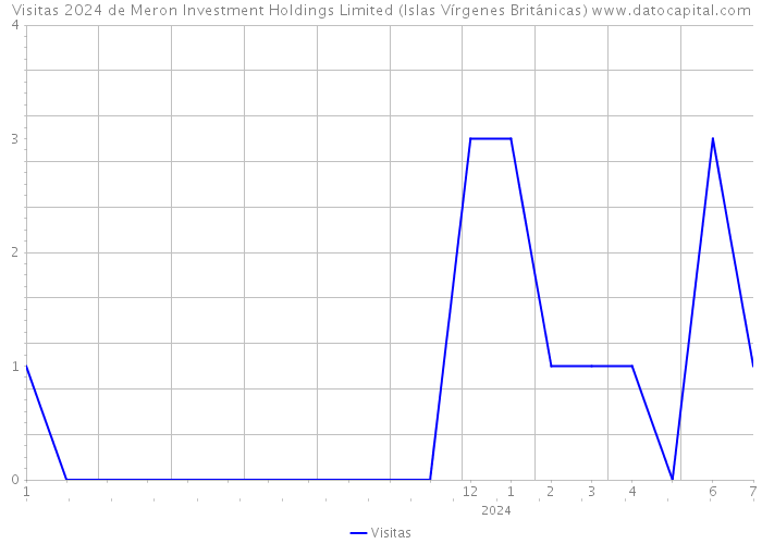 Visitas 2024 de Meron Investment Holdings Limited (Islas Vírgenes Británicas) 