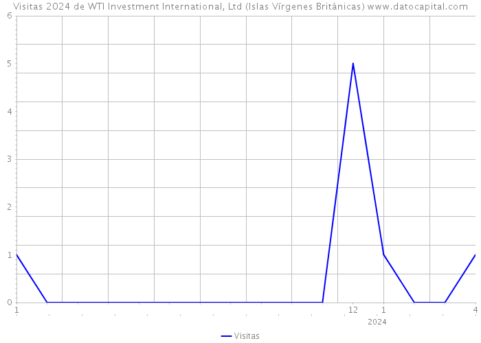 Visitas 2024 de WTI Investment International, Ltd (Islas Vírgenes Británicas) 