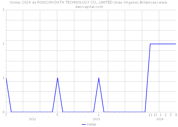 Visitas 2024 de RONGXIN DATA TECHNOLOGY CO., LIMITED (Islas Vírgenes Británicas) 