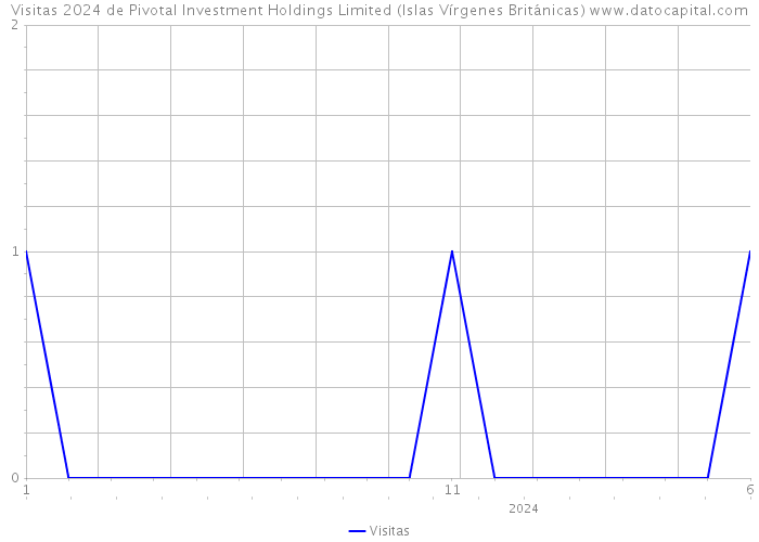 Visitas 2024 de Pivotal Investment Holdings Limited (Islas Vírgenes Británicas) 