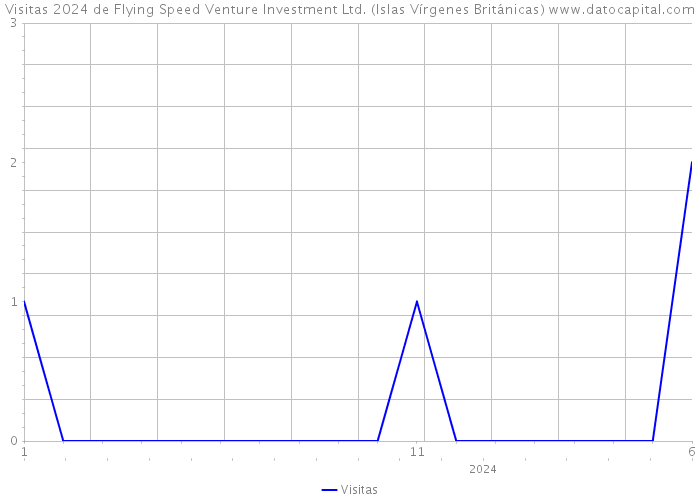 Visitas 2024 de Flying Speed Venture Investment Ltd. (Islas Vírgenes Británicas) 