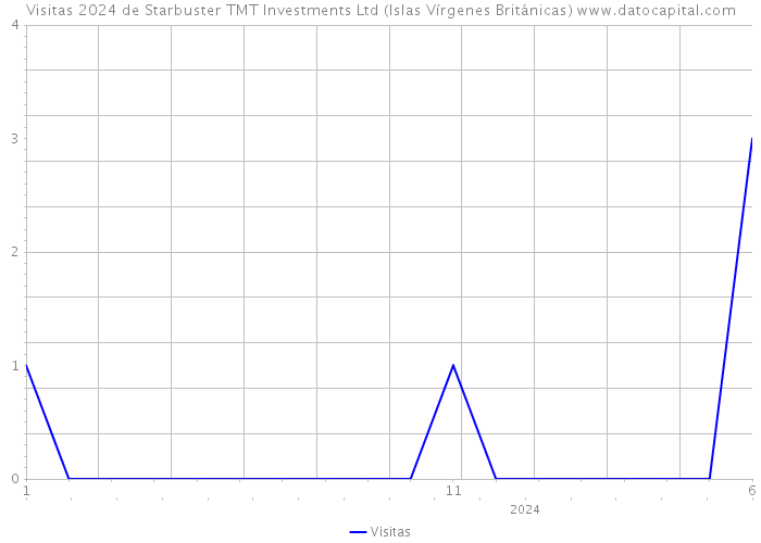 Visitas 2024 de Starbuster TMT Investments Ltd (Islas Vírgenes Británicas) 