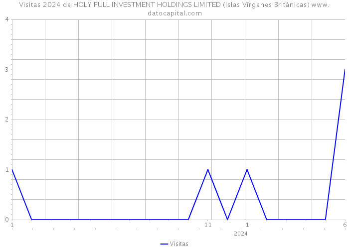 Visitas 2024 de HOLY FULL INVESTMENT HOLDINGS LIMITED (Islas Vírgenes Británicas) 