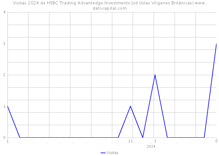 Visitas 2024 de HSBC Trading Advantedge Investments Ltd (Islas Vírgenes Británicas) 