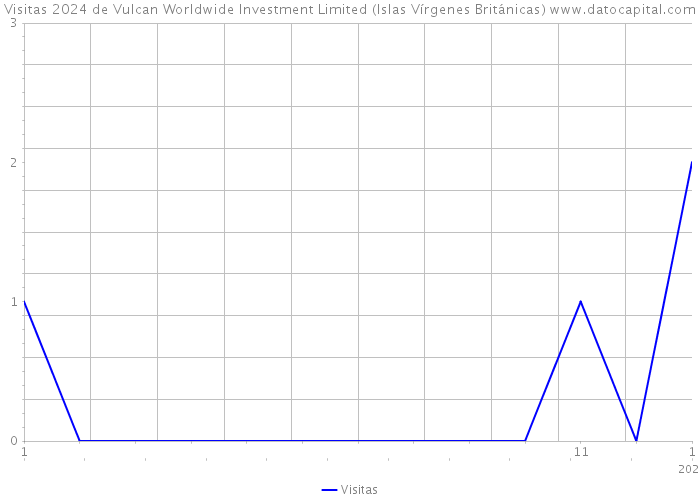 Visitas 2024 de Vulcan Worldwide Investment Limited (Islas Vírgenes Británicas) 