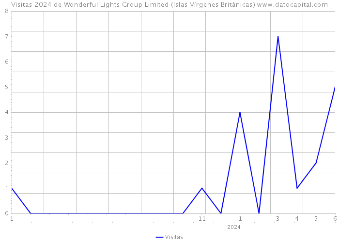Visitas 2024 de Wonderful Lights Group Limited (Islas Vírgenes Británicas) 