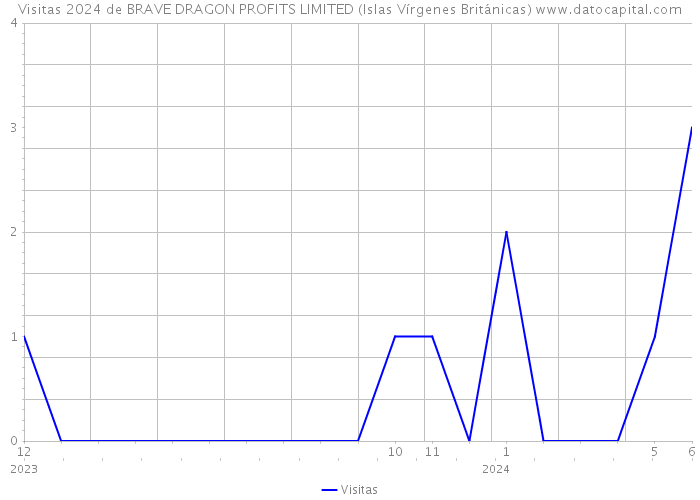 Visitas 2024 de BRAVE DRAGON PROFITS LIMITED (Islas Vírgenes Británicas) 