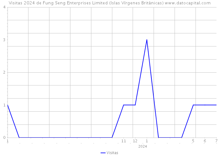 Visitas 2024 de Fung Seng Enterprises Limited (Islas Vírgenes Británicas) 
