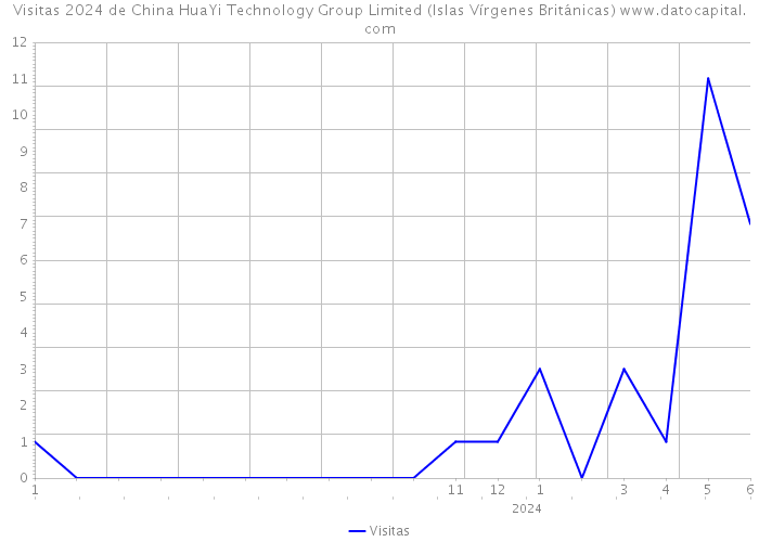 Visitas 2024 de China HuaYi Technology Group Limited (Islas Vírgenes Británicas) 