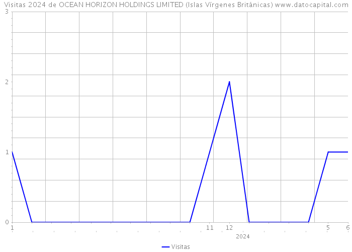 Visitas 2024 de OCEAN HORIZON HOLDINGS LIMITED (Islas Vírgenes Británicas) 