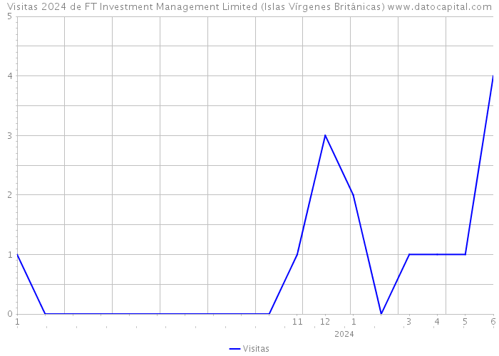 Visitas 2024 de FT Investment Management Limited (Islas Vírgenes Británicas) 