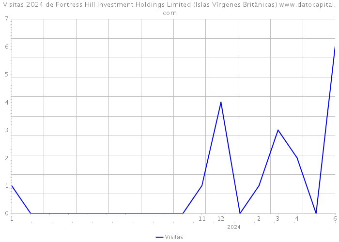 Visitas 2024 de Fortress Hill Investment Holdings Limited (Islas Vírgenes Británicas) 