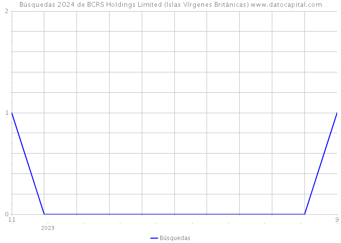 Búsquedas 2024 de BCRS Holdings Limited (Islas Vírgenes Británicas) 