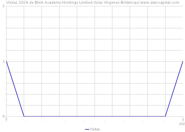 Visitas 2024 de Blink Academy Holdings Limited (Islas Vírgenes Británicas) 