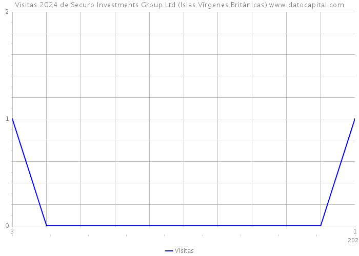 Visitas 2024 de Securo Investments Group Ltd (Islas Vírgenes Británicas) 
