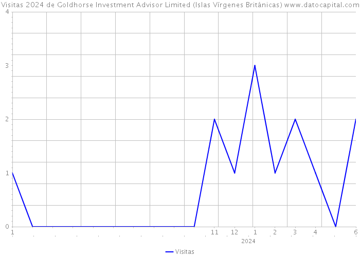 Visitas 2024 de Goldhorse Investment Advisor Limited (Islas Vírgenes Británicas) 