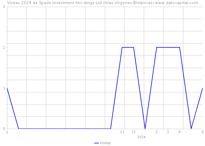 Visitas 2024 de Spade Investment Hol dings Ltd (Islas Vírgenes Británicas) 