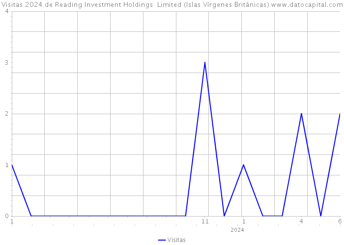 Visitas 2024 de Reading Investment Holdings Limited (Islas Vírgenes Británicas) 