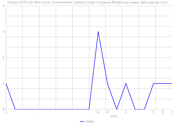 Visitas 2024 de Worcester Investments Limited (Islas Vírgenes Británicas) 