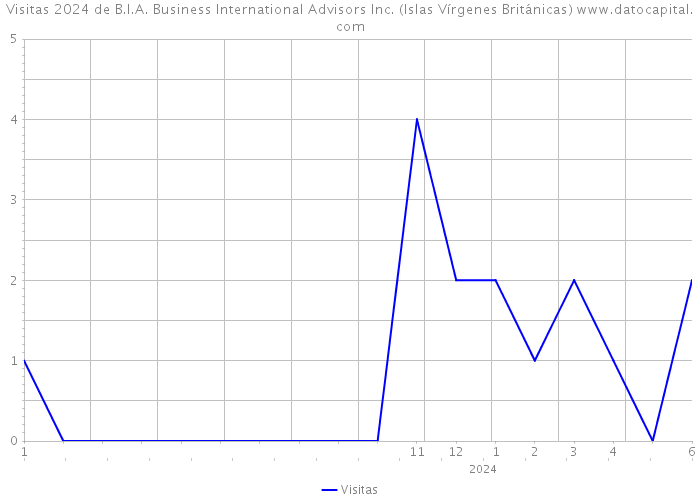 Visitas 2024 de B.I.A. Business International Advisors Inc. (Islas Vírgenes Británicas) 