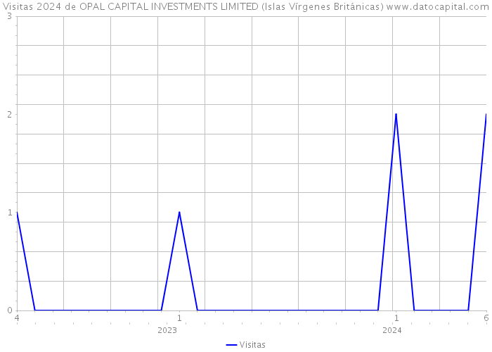 Visitas 2024 de OPAL CAPITAL INVESTMENTS LIMITED (Islas Vírgenes Británicas) 