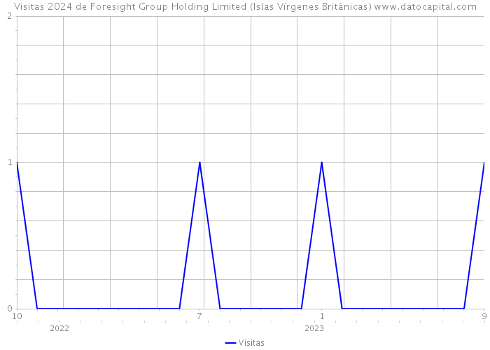 Visitas 2024 de Foresight Group Holding Limited (Islas Vírgenes Británicas) 