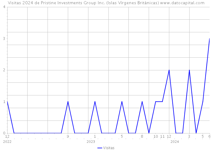 Visitas 2024 de Pristine Investments Group Inc. (Islas Vírgenes Británicas) 