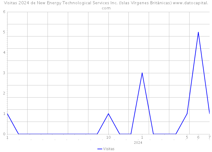 Visitas 2024 de New Energy Technological Services Inc. (Islas Vírgenes Británicas) 