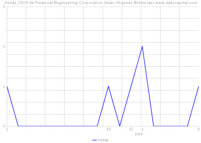 Visitas 2024 de Financial Engineering Corporation (Islas Vírgenes Británicas) 