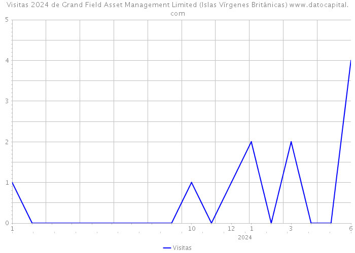 Visitas 2024 de Grand Field Asset Management Limited (Islas Vírgenes Británicas) 