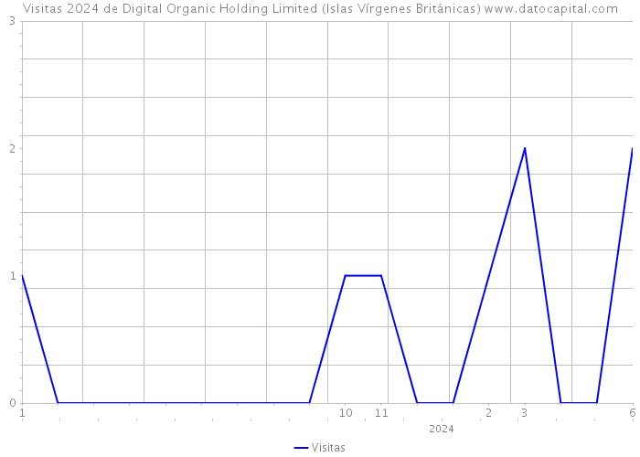 Visitas 2024 de Digital Organic Holding Limited (Islas Vírgenes Británicas) 